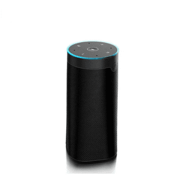 Smart Wireless Speaker