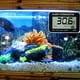 thumbnail image 3 of Eléctrico Sensor LCD Acuario Termómetro Controlador Tanque de peces Medidor de temperatura Tmvgtek Ofspeizc, 3 of 3