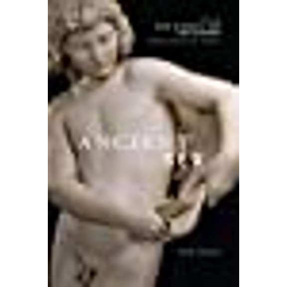 Classical Memories/Modern Identitie: Ancient Sex : New Essays (Paperback)