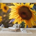 thumbnail image 7 of Wallpaper Yellow sunflower sunset light Close up Sunflower close Peel and Stick Wall Murals 100"H x 144"W Removable PVC Wall Paper Self-Adhesive Wall Paintings Art Decor for Bedroom Living Room, 7 of 7