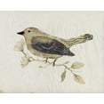 thumbnail image 2 of Murdock, Ramona 18x15 White Modern Wood Framed Museum Art Print Titled - Bird Study No. 2, 2 of 4