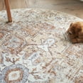 thumbnail image 5 of RUGKING Traditional Round Rug 4ft Foldable Brick Red Circle Rugs for Livingroom Bedroom Thin Kitchen Non-Slip Distressed Area Rug Vintage Carpet in Home, 5 of 5