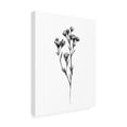 thumbnail image 2 of Emma Scarvey 'Wild Thistle II' Canvas Art, 2 of 3