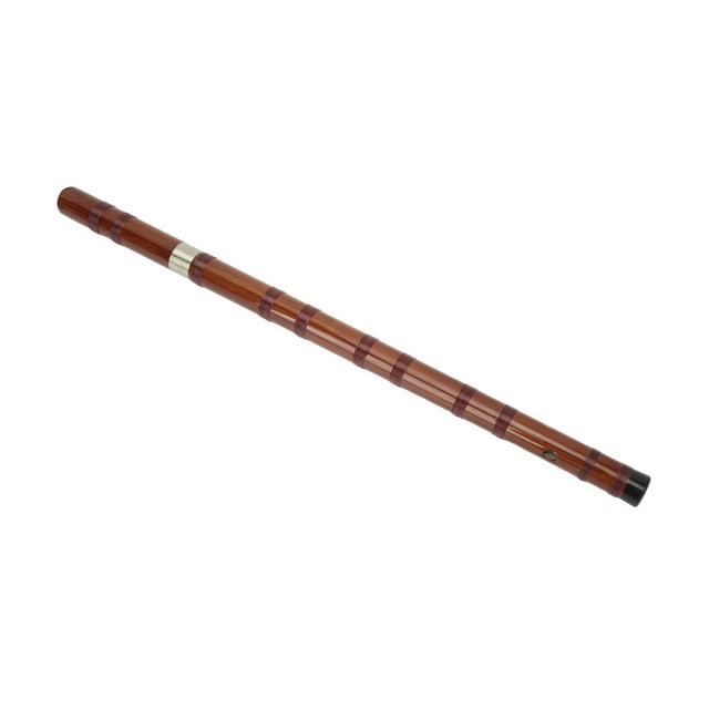 Recorder Instrument, Joli Sons Facile Doigté Flûte Verticale Échelle Claire pour les Amis D Clé