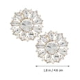 thumbnail image 3 of 2pcs Crystal Shoe Clips Creative Shoe Embellishments Women Decorative Shoe Accessories, 3 of 8