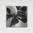 thumbnail image 3 of Luxe Metal Art 'Flowers Black White 8' by Ray Heere, Metal Wall Art, 36"x36", 3 of 9