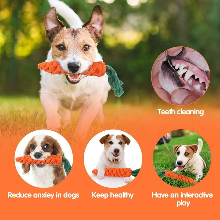 Top rated chew toys for shop puppies