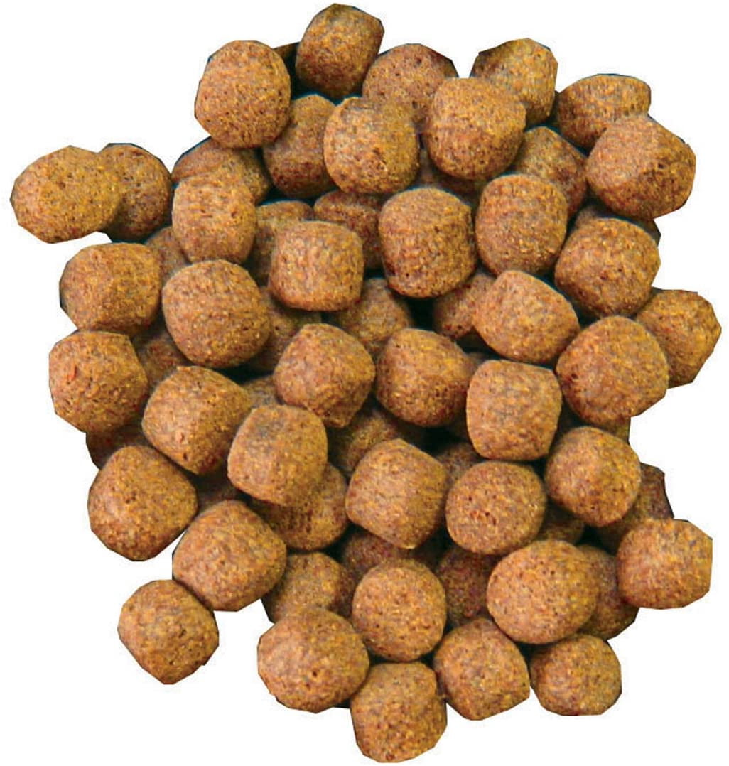 Aquascape 50003 Premium Staple Fish Food Pellets for Large Pond Fish, Large Pellet, 44 pounds