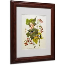 Trademark Fine Art "Black and Yellow Warbler" Canvas Art by John James Audubon, Wood Frame