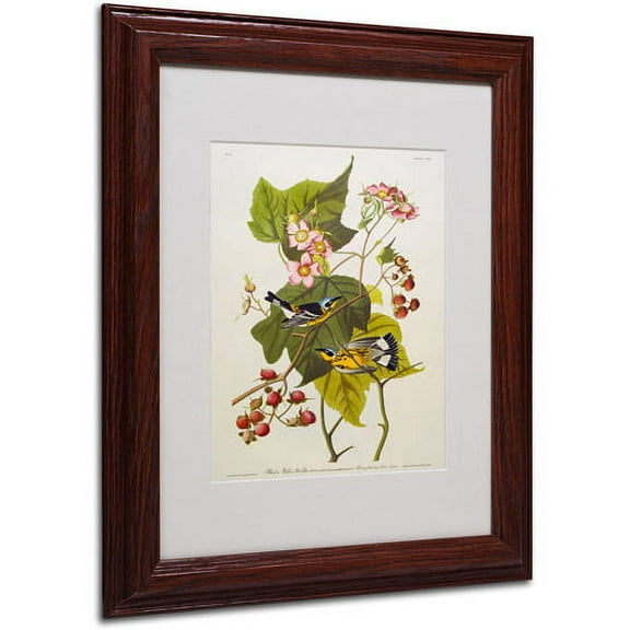 Trademark Fine Art "Black and Yellow Warbler" Canvas Art by John James Audubon, Wood Frame