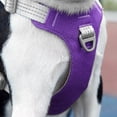 thumbnail image 2 of Breathable And Reflective Chest Harness, Suitable For Dogs, And Can Be Used For Daily Training Vest Harnesses, 2 of 8