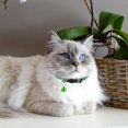 thumbnail image 2 of 12 collares decorativos para gatitos, resistentes al desgaste y reflectantes (colores variados), 2 of 8