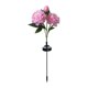 thumbnail image 2 of Luces de Flor de Peonía Solares para Jardín Exterior | Iluminación Paisajística Decorativa LED Impermeable | Flores Artificiales de Plástico para Patio, Jardín y Senderos | Altura 68cm | Varios, 2 of 6