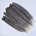 thumbnail image 4 of 10pcs/lot Real Natural Eagle Feathers For Decoration Crafts Turkey Pheasant Bird Owl Feather Decor Plumes Accessories Carnival, 4 of 5