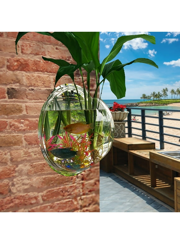 Fish Bowls in Fish Tanks