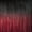 T1B/BURGUNDY, variant on SENSUAL - I-REMI YAKI 8" (HUMAN HAIR)