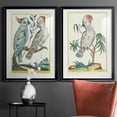 thumbnail image 5 of Wexford Home Pastel Birds I Premium Framed Print, 22.5" x 30.5" - Ready to Hang, Black (Set of 2), 5 of 9