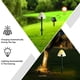 thumbnail image 3 of Luces solares de jardín al aire libre, luces solares de setas 10 LED luces de estaca de jardín impermeables para paisaje de camino WD.WDQZL Hogar, 3 of 5