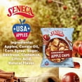 Cinnamon Apple Chips Made From Fresh Apples 100 Red Delicious cinnamon-apple-chips-made-from-fresh-apples-100-red-delicious