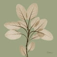 thumbnail image 2 of Koetsier, Albert 26x26 White Modern Wood Framed Museum Art Print Titled - Berggarten Sage, 2 of 4