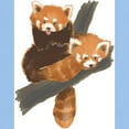thumbnail image 3 of CafePress - Red Pandas Light T Shirt - Men's Classic Graphic T-Shirt, 3 of 4