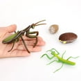 thumbnail image 1 of Colección- de de un conjunto de -4 piezas separadas en conjunto y plástico para edad 3 CUTICAT  Juego de crecimiento de insectos para niños, 1 of 7