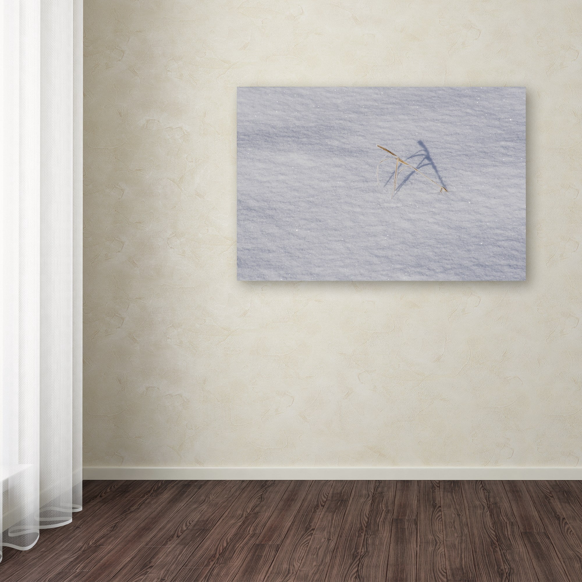 Trademark Fine Art "Winters Bleak Beauty" Canvas Art by Kurt Shaffer