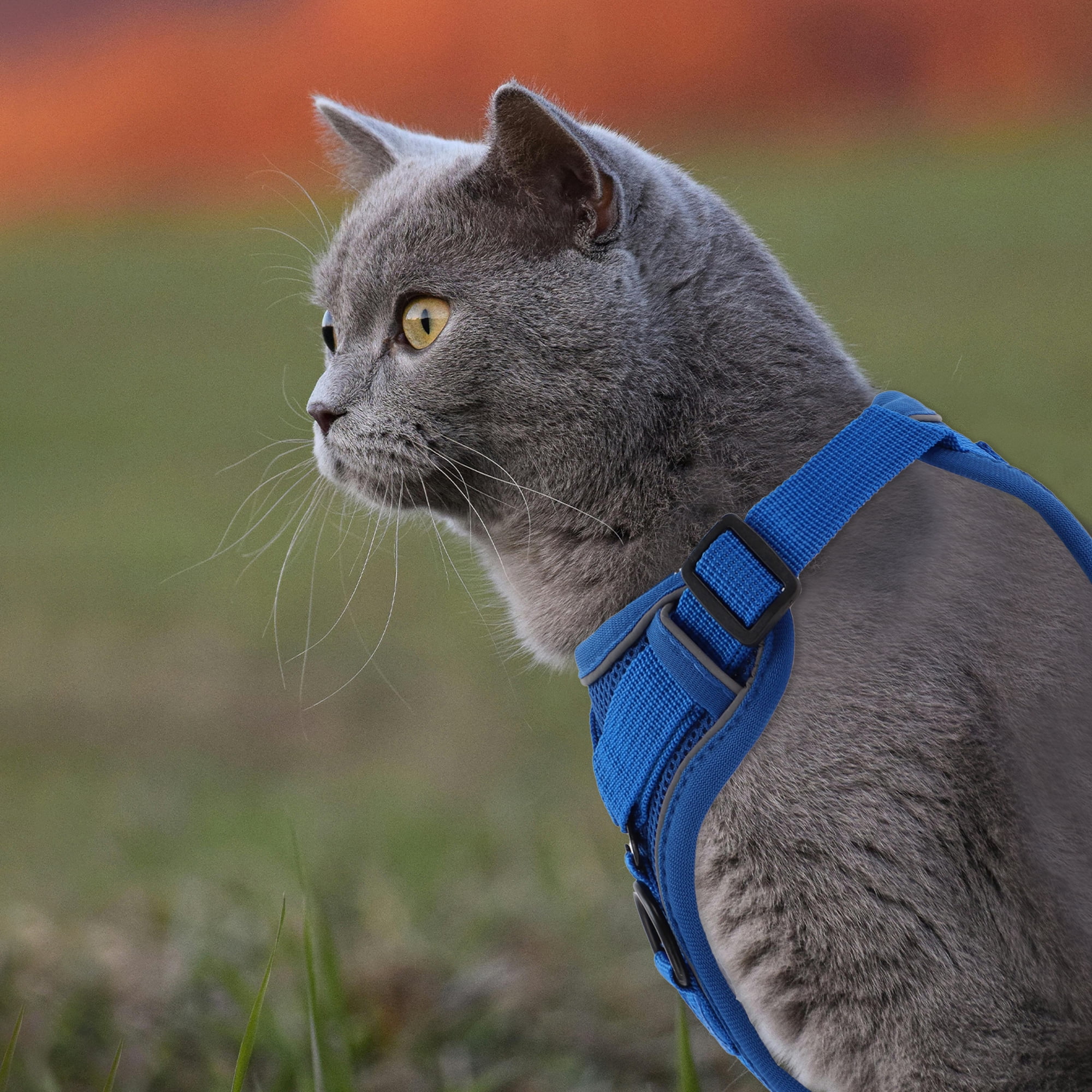 Unique Bargains Adjustable Cat Harness Leash Set With Reflective Strips Blue S