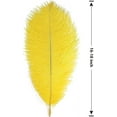 thumbnail image 2 of Nvzi 12 plumas de avestruz rojas naturales a granel de 16 a 18 pulgadas, 40 a 45 cm, para centros de mesa de bodas, fiestas, Pascuas, Gatsby y decoración del hogar, plumas de avestruz, 2 of 5