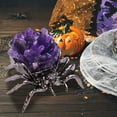 thumbnail image 4 of Deal for Days Holiday Decor Halloween Decor Indoor Natural Crystal Amethyst Gravel White Crystal Desktop Decoration Halloween Gift, 4 of 6