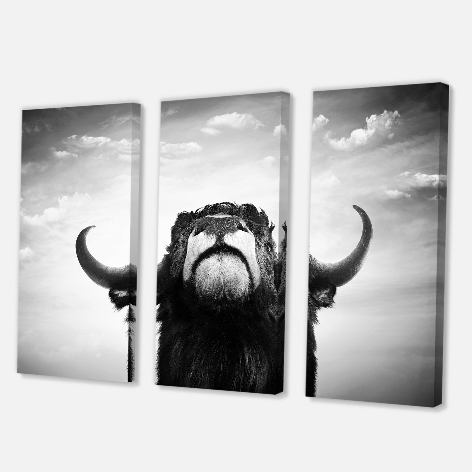 Designart ' Black and White Portrait Of A Spanish Bull I ' Farmhouse Canvas Wall Art Print