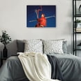 thumbnail image 2 of Cuadro Decorativo - En el remonte rojo, 2 of 3