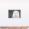 thumbnail image 4 of Creative Products Slate Barn Owl 20x30 Canvas Wall Art, 4 of 5