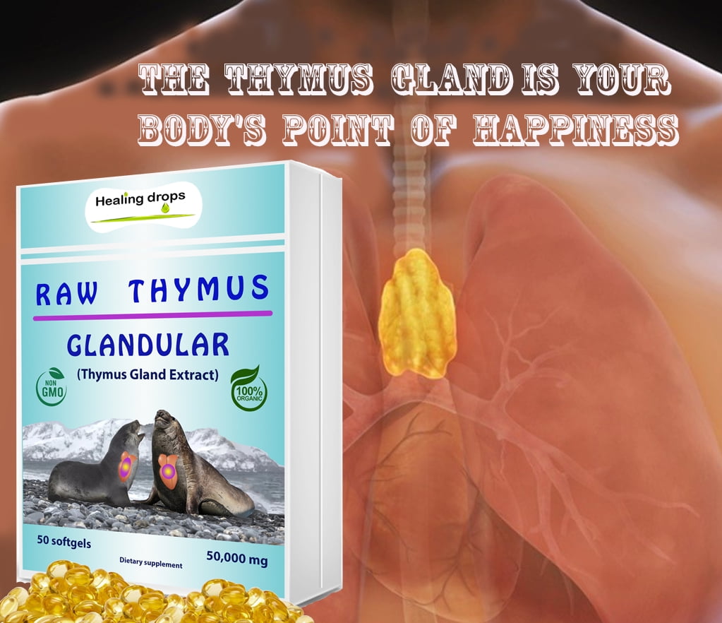 Buy Thymus Glandular Supplement Raw Tissue Extract Supports Immune