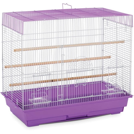 cage flight prevue pet bird setup cages finch walmart supplies birds zebra