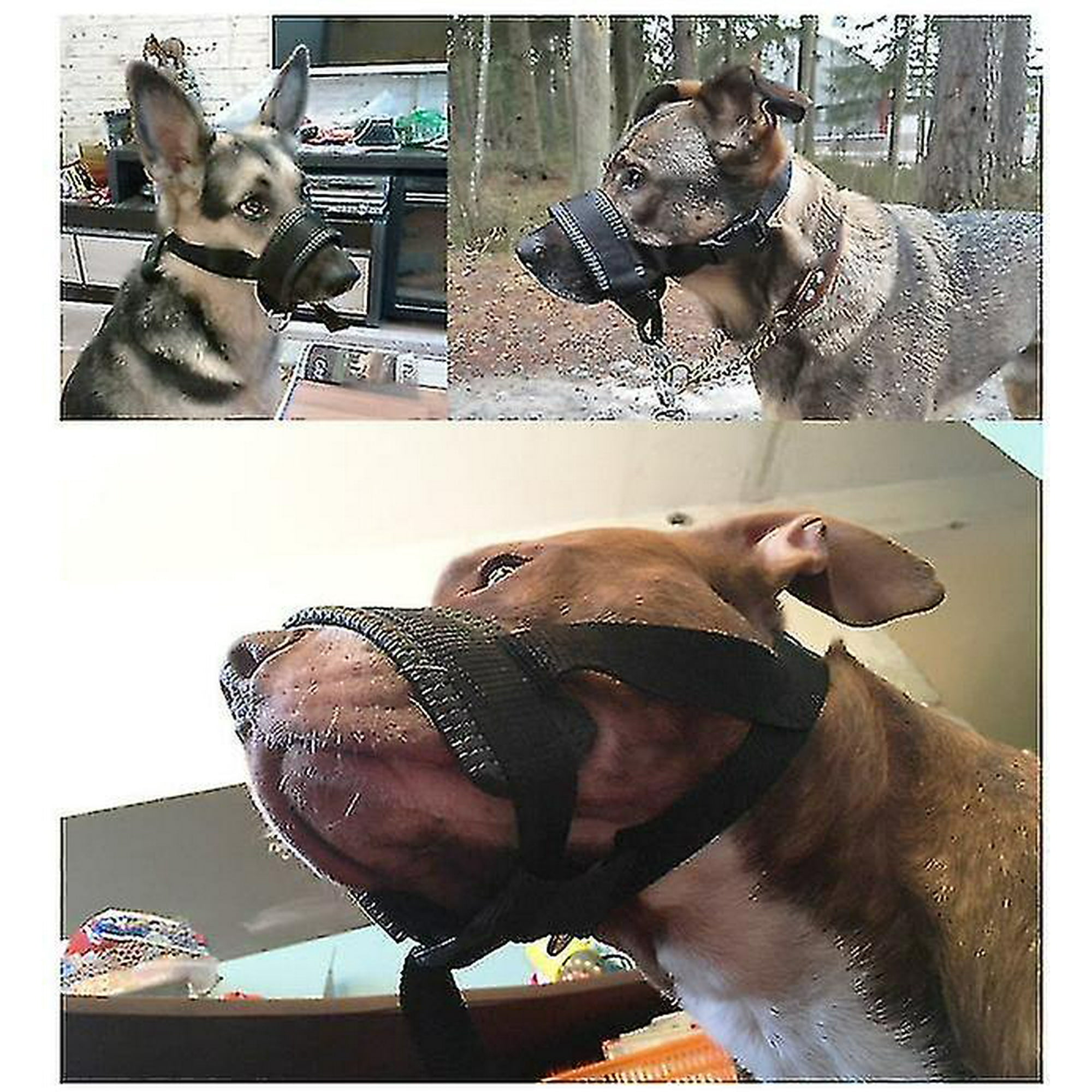 Gentle muzzle sale