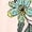 1-Beige, variant on Alun Womens Long Sleeve T Shirts Happy Easter Festival Letter Print and Graphic Tee Tops 2026 Spring and Summer Casual Clothes Soft Comfortable Workout Leisure T-Shirt 2-Mint Green XL