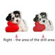 thumbnail image 5 of Cuadros Decorativos 5D DIY diamante pintura lindo amor corazón perro cruz puntada bordado hogar pared decoración Ndcxsfigh Nuevos Originales, 5 of 8