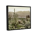 thumbnail image 4 of Stupell Industries Rocky Desert Landscape Landscape Photography Black Floater Framed Canvas Art Print Wall Art, 21 x 17, 4 of 10