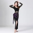 thumbnail image 3 of Female Mesh Hanging Belly Dance Hip Skirt Scarf Fussel  Sequins Tassel, 3 of 8