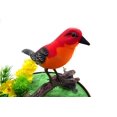 thumbnail image 4 of Pájaro cantor en jaula PowerTRC BC507B con sonidos realistas, 4 of 4
