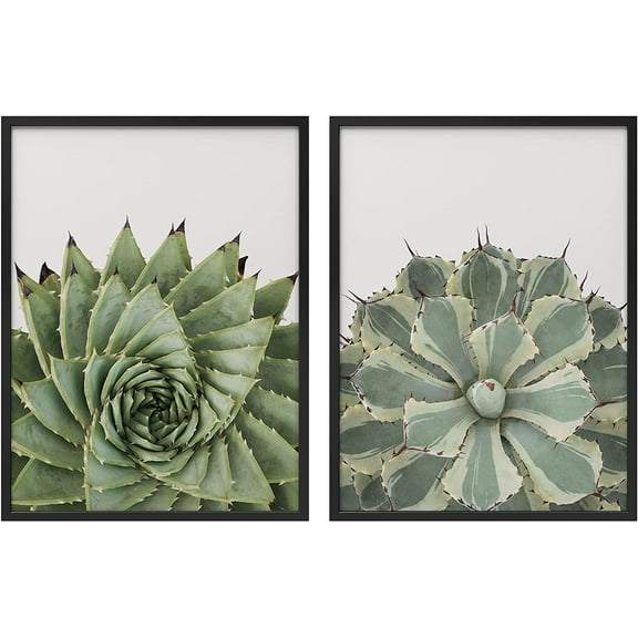 PixonSign Framed Wall Art Collage Print Gallery Set Spiked Spiral Succulent Duo Botanical Plants Photography Realism Modern Relax/Calm Multicolor for Living Room, Bedroom, Office - 12"x16"x2 BLACK