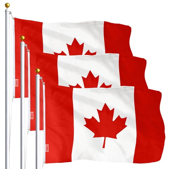 Canada Canadian Flag 3x5FT 3-Pack Printed Polyester By G128