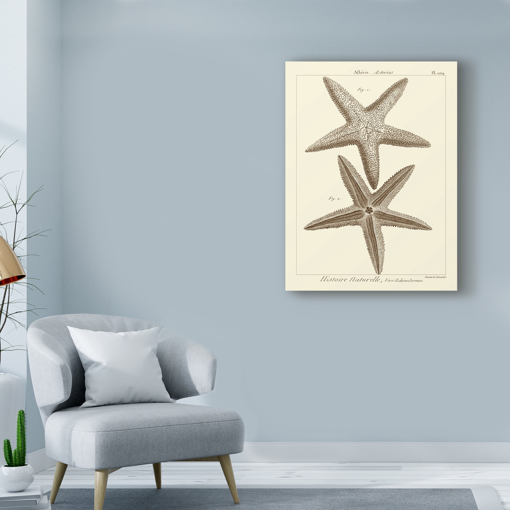 Trademark Fine Art 'Striking Starfish I' Canvas Art by Vision Studio