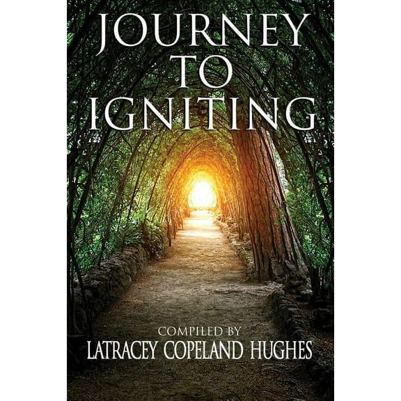 Journey to Igniting (Paperback)