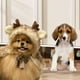 thumbnail image 1 of Disfraz navideño Salvador para perros y gatos capa navideña con astas L, 1 of 9
