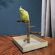 thumbnail image 4 of Bird Perch Bird Training Stand Tabletop Para Cockatiels Lovebirds Periquitos 23x26x20cm Sunnimix percha de juego de aves, 4 of 8