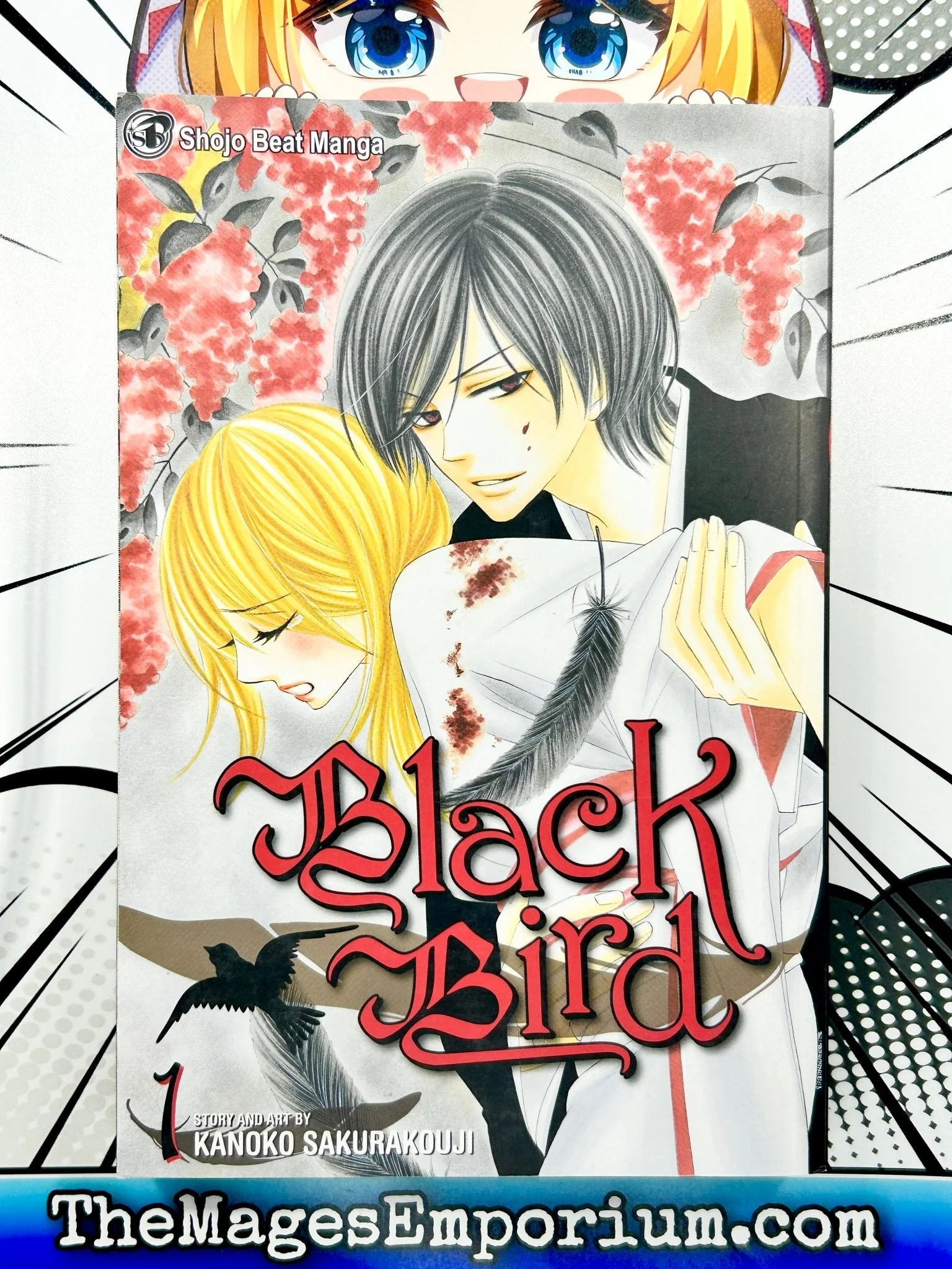 Black Bird Black Bird, Vol. 1, Book 1, (Paperback) - Walmart.com
