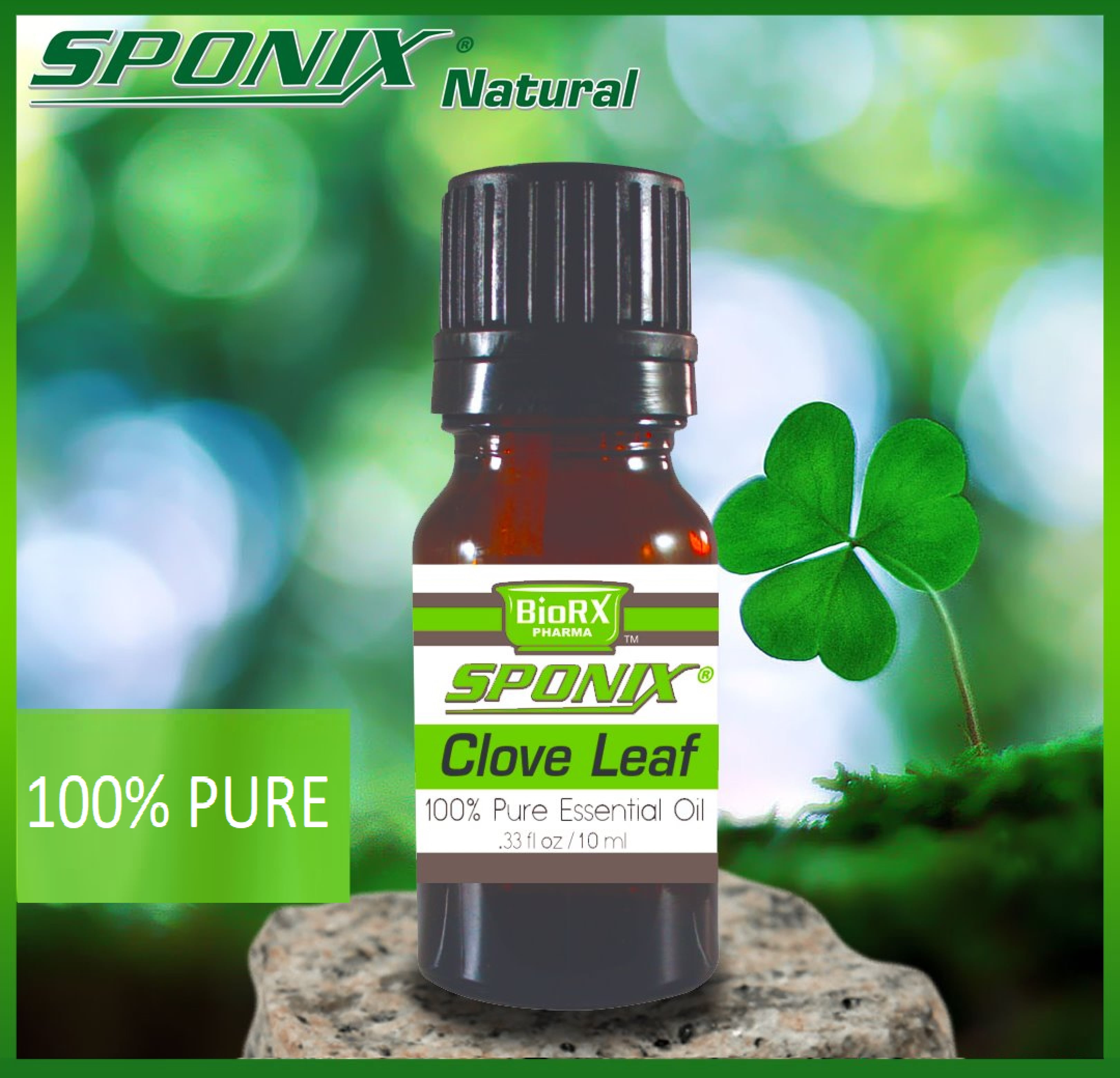 Clove Leaf Aromatherapy Essential Oil Perfume Oil 100 Pure