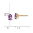 thumbnail image 2 of 14k Yellow Gold Polished 6x4 Oval February Amethyst Post Earrings 6x4mm Wide Stud Earring for Women, 2 of 2
